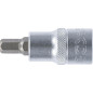 Douille à Embouts 12,5 mm (1/2) - Précision et Robustesse, Acier - D-Work Douille à Embouts 12,5 mm (1/2) - Précision et Robustesse, Acier - D-Work