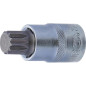 Douille à Embouts 12,5 mm (1/2\) - Denture Multiple Intérieure XZN M16 - Précision et Robustesse - D-Work Douille à Embouts 12,5 mm (1/2\) - Denture Multiple Intérieure XZN M16 - Précision et Robustesse - D-Work