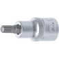 Douille à Embouts 12,5 mm (1/2) - Denture Multiple Intérieure XZN M8 - Précision et Robustesse - D-Work