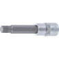 Douille à Embouts 12,5 mm (1/2) - Denture Multiple Intérieure XZN M12 - Précision et Robustesse - D-Work Douille à Embouts 12,5 mm (1/2) - Denture Multiple Intérieure XZN M12 - Précision et Robustesse - D-Work