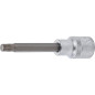 Douille à Embouts 12,5 mm (1/2) - Denture Multiple Intérieure XZN M12 - Précision et Robustesse - D-Work Douille à Embouts 12,5 mm (1/2) - Denture Multiple Intérieure XZN M12 - Précision et Robustesse - D-Work