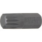 Embout M12 30 mm - Denture Multiple Intérieure XZN - Précision et Durabilité - BGS