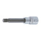 Embout M12 30 mm - Denture Multiple Intérieure XZN - Précision et Durabilité - BGS