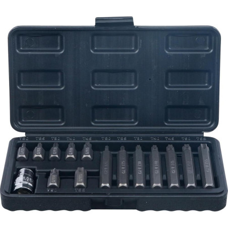 Jeu d Embouts 15 Pièces 10 mm (3/8 ) Profil en T Torx - - Précision et Polyvalence - BGS