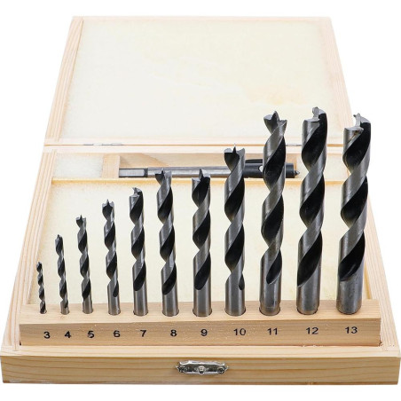 Jeu de Mèches à Bois et Trépans de Forage 14 pcs - Acier, Polyvalent et Précis, Pro - D-Work