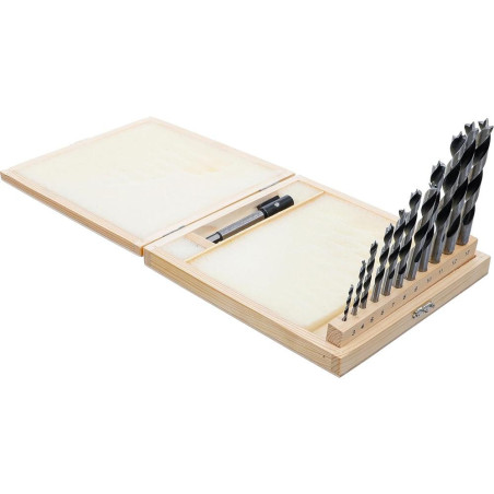 Jeu de Mèches à Bois et Trépans de Forage 14 pcs - Acier, Polyvalent et Précis, Pro - D-Work