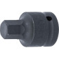 Douille à Embouts Choc 55 mm - Résistante et Précise, Acier, Pro - D-Work Douille à Embouts Choc 55 mm - Résistante et Précise, Acier, Pro - D-Work