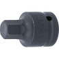 Douille à Embouts Choc 55 mm - Résistante et Précise, Acier, Pro - D-Work Douille à Embouts Choc 55 mm - Résistante et Précise, Acier, Pro - D-Work