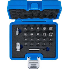 Jeu d Embouts Profil TS Torx Plus 23 pcs - Précision et Durabilité - BGS