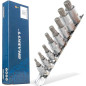 Douille à Embouts 6,3 mm (1/4 ) - Denture Multiple Intérieure XZN M5 - Précision et Robustesse - BGS