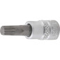 Douille à Embouts 6,3 mm (1/4) M6 - Denture Multiple Intérieure XZN - Précision et Robustesse - D-Work Douille à Embouts 6,3 mm (1/4) M6 - Denture Multiple Intérieure XZN - Précision et Robustesse - D-Work