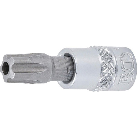 Douille à Embouts 6,3 mm (1/4) Profil TS Torx Plus Perçage TS45 - Précision et Durabilité, Acier - D-Work