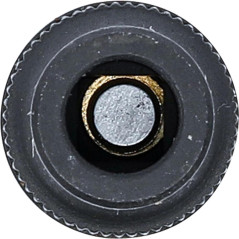 Douille de Support de Taraud 10 mm (3/8 ) - 6,4 mm - Acier Résistant - Précision et Durabilité - BGS