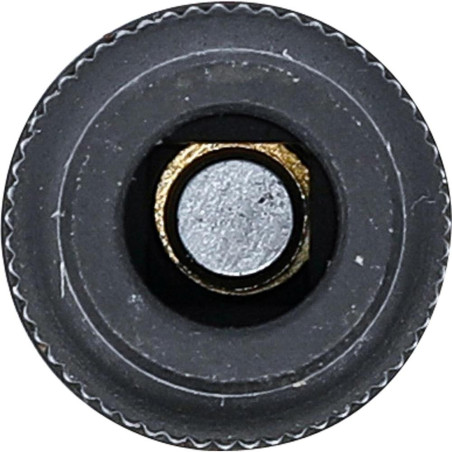Douille de Support de Taraud 10 mm (3/8 ) - 6,4 mm - Acier Résistant - Précision et Durabilité - BGS