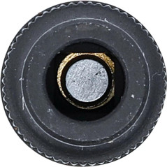 Douille de Support de Taraud 10 mm (3/8 ) - 6,4 mm - Acier Résistant - Précision et Durabilité - BGS