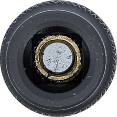 Douille de Support de Taraud 10 mm (3/8) - 7,0 mm - Précision et Robustesse, Acier - D-Work