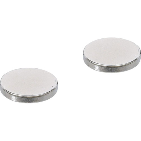 Jeu d’Aimants Extrapuissants Ø18 mm - 2 Pièces - Forte Attraction Magnétique - BGS