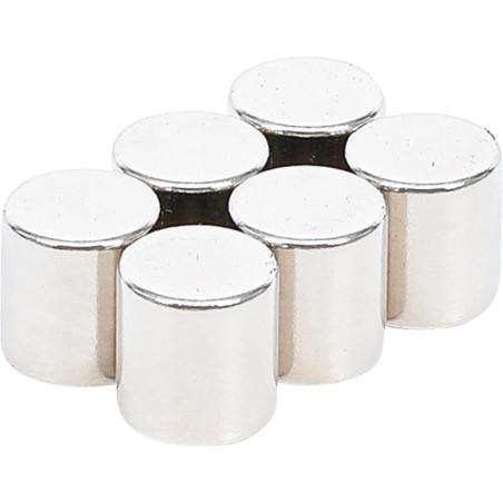 Jeu d’Aimants Extrapuissants Ø9,5 mm - 6 Pièces - Forte Adhérence et Polyvalence - BGS