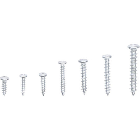 Assortiment de Vis à Tôle 175 Pièces - Acier, Résistantes et Polyvalentes - - BGS