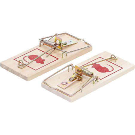 Pièges à Souris - Lot de 2 - Plastique, Faciles à Utiliser - Sécurité et Efficacité - BGS