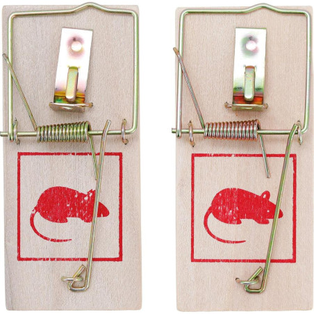 Pièges à Souris - Lot de 2 - Plastique, Faciles à Utiliser - Sécurité et Efficacité, Pro, 2 pcs - D-Work