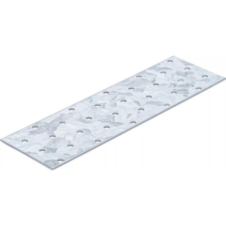 Tôle d Acier Perforée 200x60x2 mm - Acier, Résistante et Polyvalente - - BGS