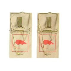 Piège à Souris 2 pcs - Plastique - Efficace et Réutilisable - BGS