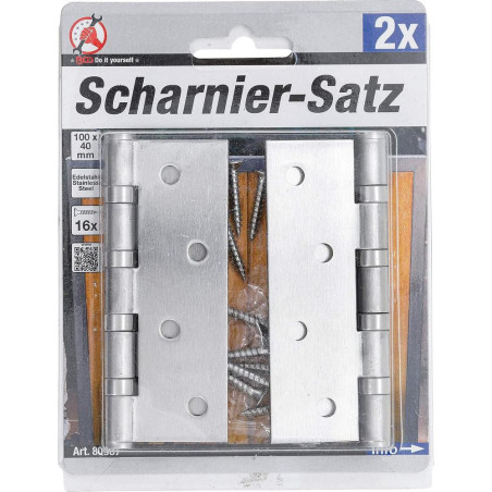 Jeu de Charnières Acier Inoxydable 100x40 mm - 2 Pièces - Résistantes et Durables - BGS