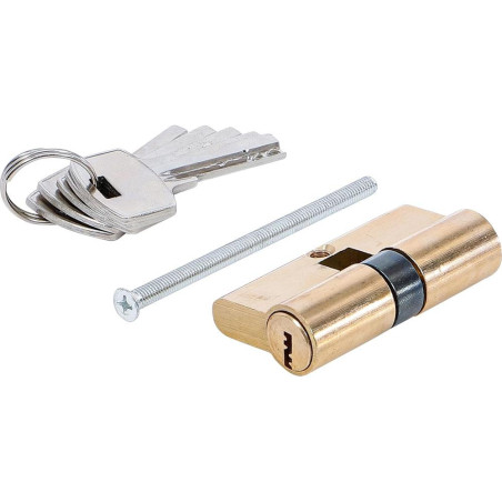 Cylindre de Serrure Laiton 60 mm - Sécurité et Durabilité - BGS