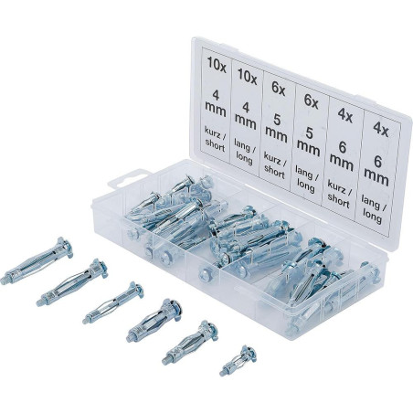 Assortiment de Chevilles Molly 40 pcs, Acier, Fixation Murale Sécurisée - D-Work