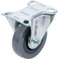 Roue Fixe Ø75 mm - Socle à Visser - Résistante et Pratique pour Mobilité Facile - BGS