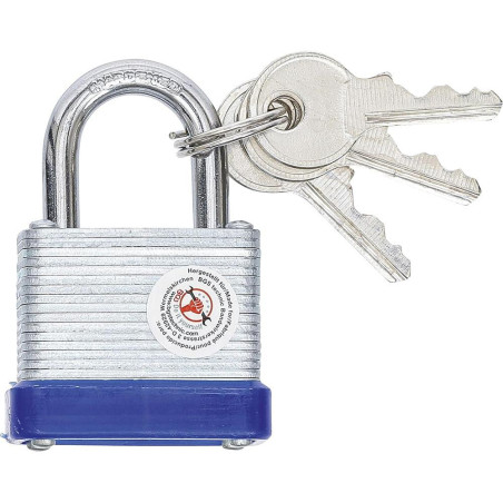 Cadenas de Sécurité 30 mm - Protection Fiable, Zones Difficiles, Acier, Compact et Robuste - D-Work