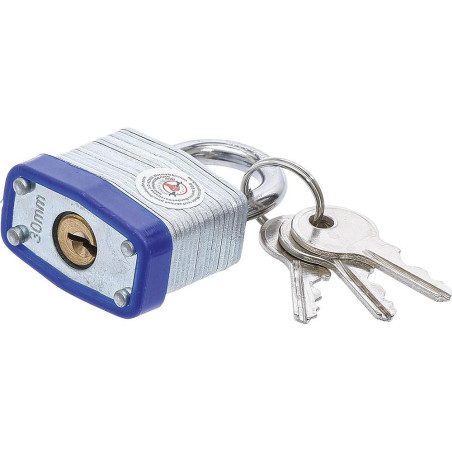 Cadenas de Sécurité 30 mm - Acier, Compact et Robuste - Protection Fiable, Zones Difficiles - D-Work