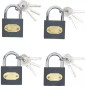 Cadenas XL 46 mm - Acier, Sécurité Renforcée - D-Work Cadenas XL 46 mm - Acier, Sécurité Renforcée - D-Work
