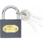 Cadenas Type L 38 mm - Acier, Compact et Sécurisé - - BGS