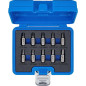 Jeu d Extracteurs de Vis 10 pcs - Acier Résistant - Dévissage Facile et Rapide, Pro - D-Work Jeu d Extracteurs de Vis 10 pcs - Acier Résistant - Dévissage Facile et Rapide, Pro - D-Work