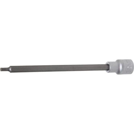 Douille à Embouts 200 mm - 12,5 mm (1/2), Denture Multiple Intérieure XZN - Précision et Robustesse - D-Work