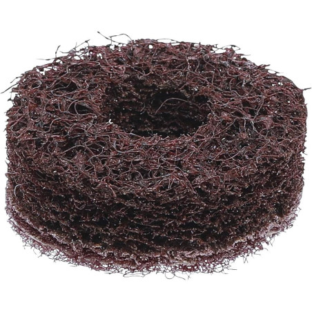 Disque de Nettoyage de Rechange Grain Fin - Ø5,4x2x4,6 cm Nettoyage Précis et Efficace - BGS