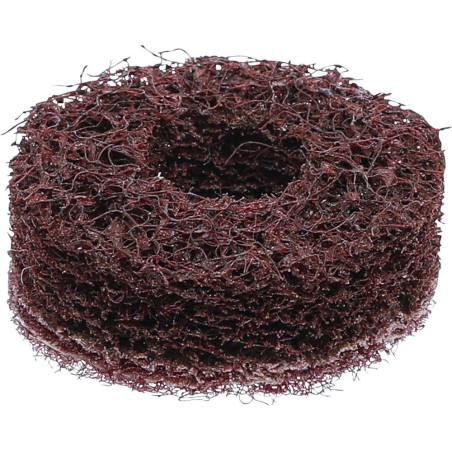 Disque de Nettoyage de Rechange Grain Fin - Ø5,4x2x4,6 cm Nettoyage Précis et Efficace - BGS