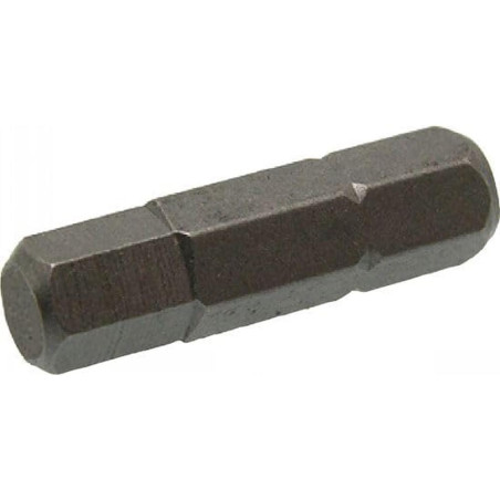 10 Embouts Hexagonal 3 mm - Acier - D-Work