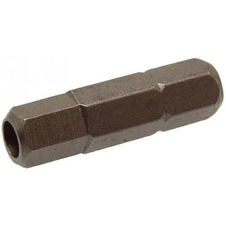 1 Embout Hexagonal pour Vis Inviolable 6 mm - Acier - D-Work