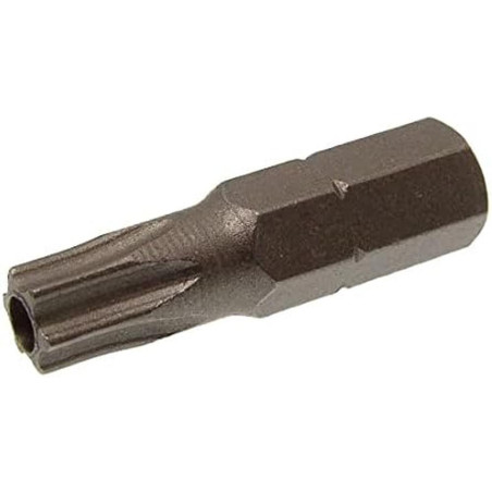 1 Embout Six Lobes pour Vis Inviolable 25 mm - Acier - D-Work