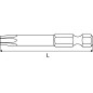 Embout Torx 10 mm pour vis inviolable - Inox - Sécurité renforcée - ACTON
