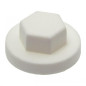 250 Capuchons Plastique Vis D. 6.3 mm - Polyethylene - D-Work 250 Capuchons Plastique Vis D. 6.3 mm - Polyethylene - D-Work