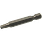 5 Embouts carré 3 mm - Acier - Usage industriel - ACTON