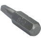 5 Embouts carré 2 mm - Acier - Usage industriel - ACTON