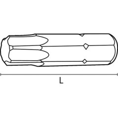 10 Embouts six lobes 20 mm - Acier - Précision et robustesse - ACTON