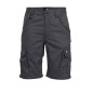Bermuda de Travail Jacquot - Taille 38 - Gris - Résistant et Confortable - D-Work Bermuda de Travail Jacquot - Taille 38 - Gris - Résistant et Confortable - D-Work