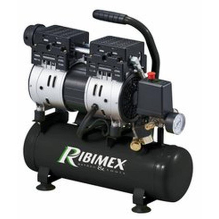 Compresseur Électrique 3CV 100L – Bicyclindre, Courroie – Puissant et Fiable - RIBIMEX