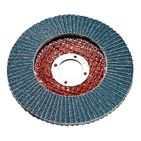 Disque à Lamelles 125 mm – Grain 40 – Idéal pour Ponçage et Finition - RIBIMEX